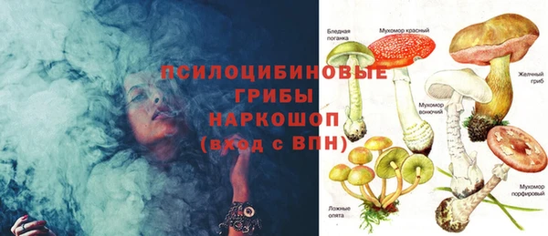 стафф Магадан