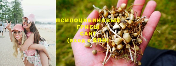 каннабис Магас