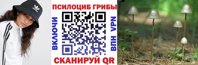 Псилоцибиновые грибы Psilocybine cubensis  Купить закладки  Динская 